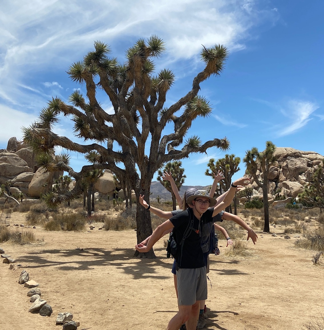 A group of people mirroring the shape of a gnarled tree behind them with their arms