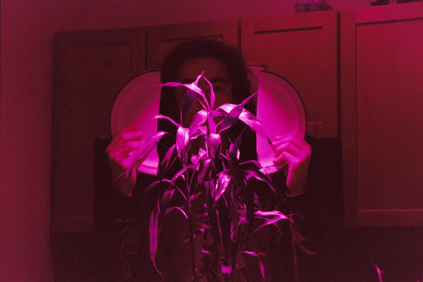 Another purple film photograph.  This time, the plate is cracked, and Jonah's face is partially revealed.